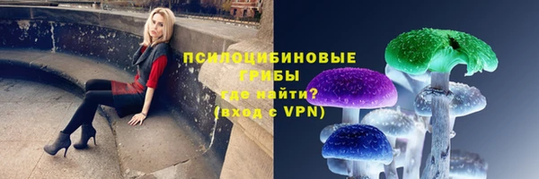 сатива Абдулино