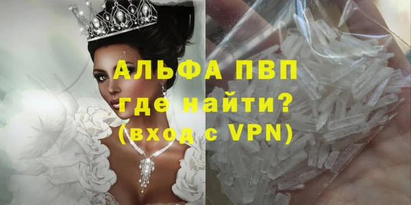 шишки Алзамай