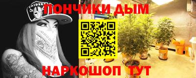 индика Конаково