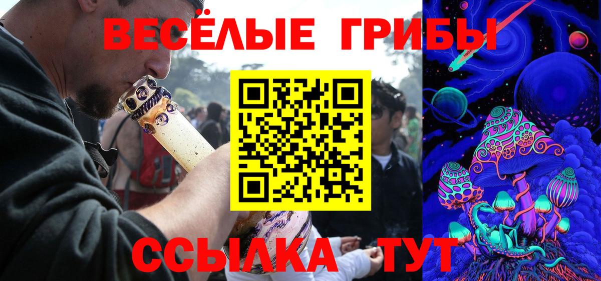 Псилоцибиновые грибы мицелий Касимов