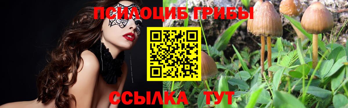 Касимов  Псилоцибиновые грибы GOLDEN TEACHER  Вход с VPN 